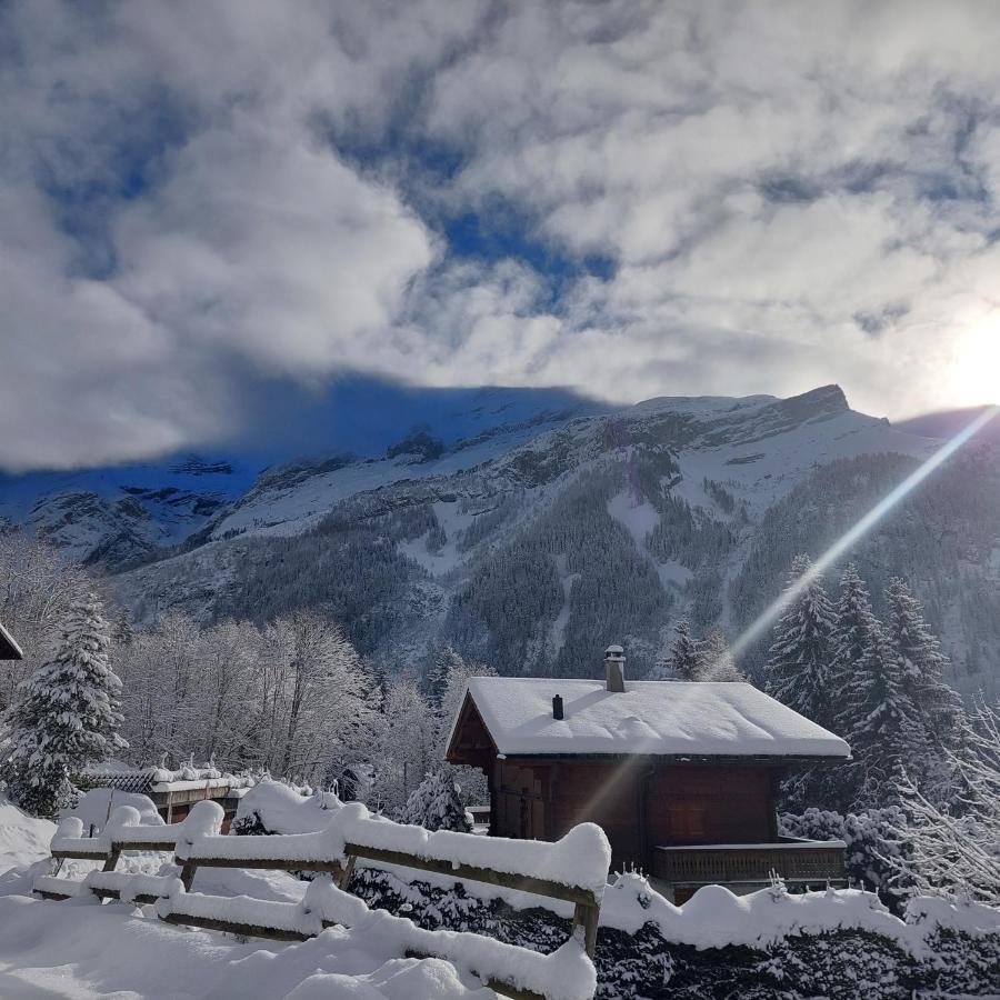 Chambre D'Hotes L'Ours Bleu Лес-Діаблеретс Екстер'єр фото
